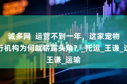 诚多网  运营不到一年，这家宠物出行机构为何就崭露头角？_托运_王谦_运输