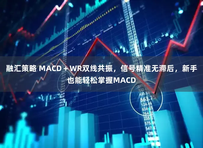 融汇策略 MACD＋WR双线共振，信号精准无滞后，新手也能轻松掌握MACD