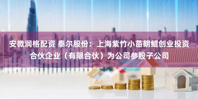 安微润格配资 泰尔股份：上海紫竹小苗朗鲲创业投资合伙企业（有限合伙）为公司参股子公司